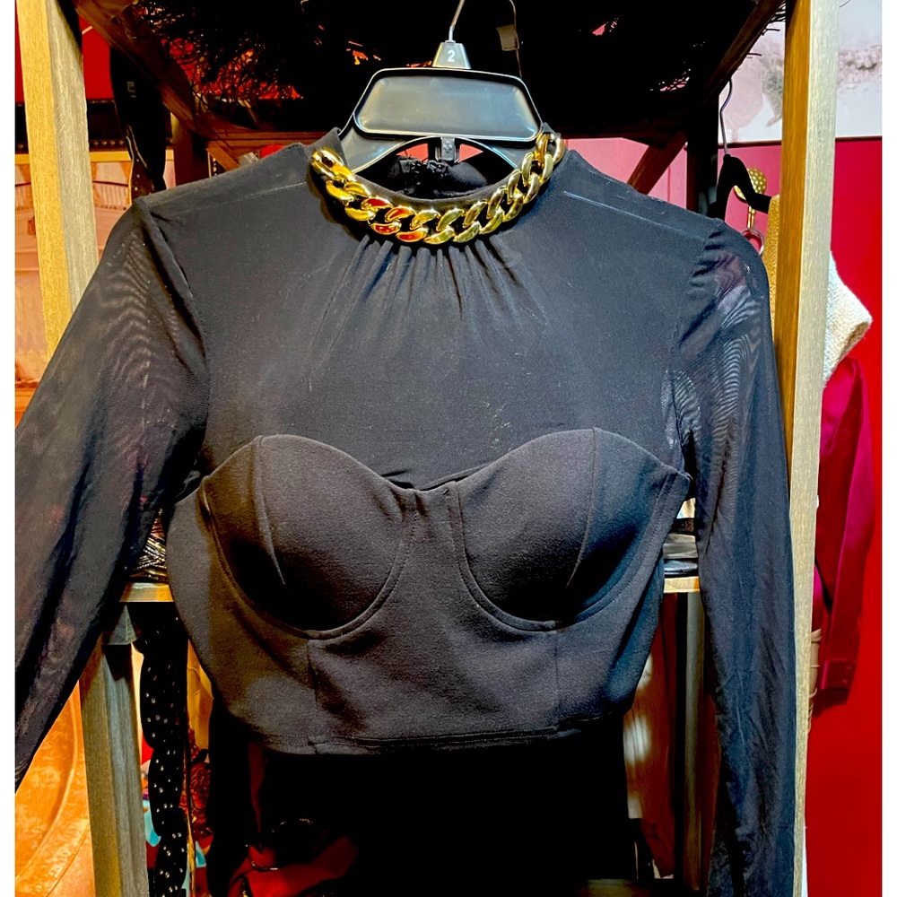 Black Meshed Long Sleeved Cropped Statement Top for the Bold & Beautiful